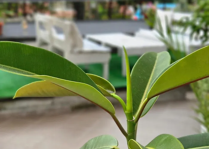 Petrovi בית הארחה רבדה